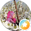 Waheeda Ahmed