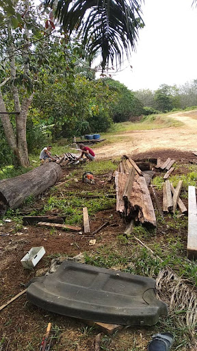 Buloh Kasap
