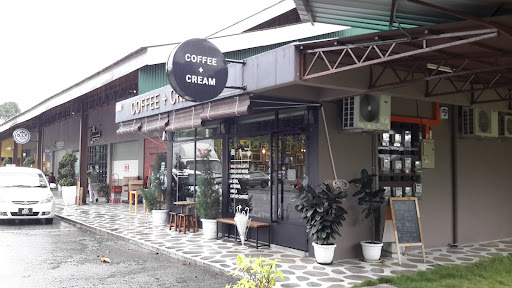 Coffee + Cream