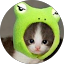Neko Frog